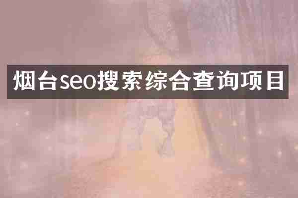 烟台seo搜索综合查询项目