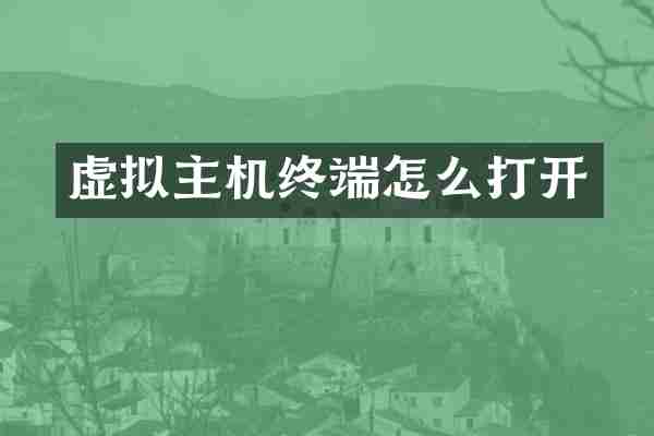 虚拟主机终端怎么打开