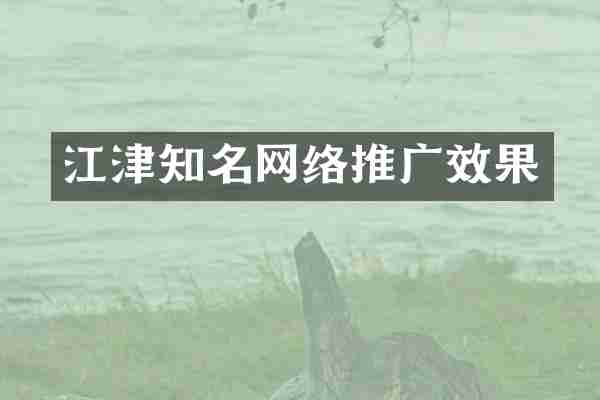 江津知名网络推广效果