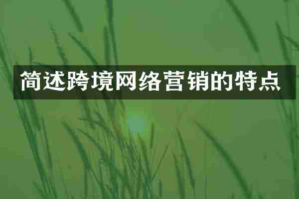 简述跨境网络营销的特点