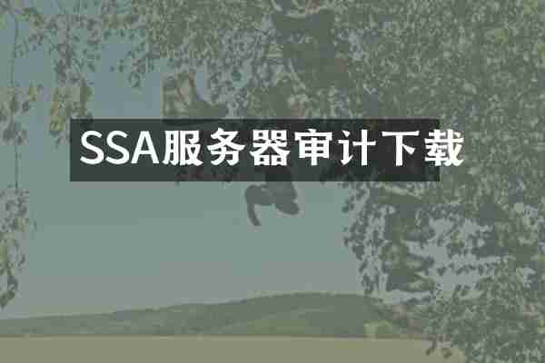 SSA服务器审计下载