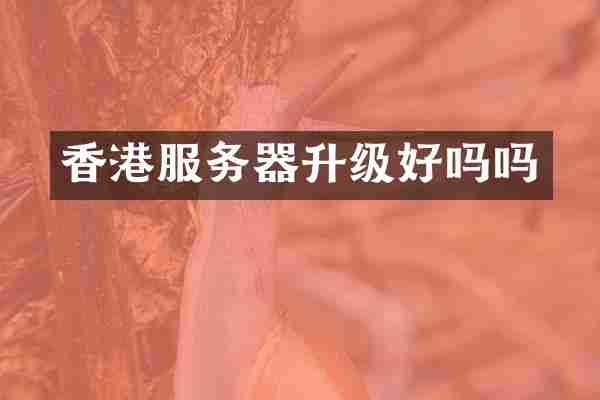 香港服务器升级好吗吗