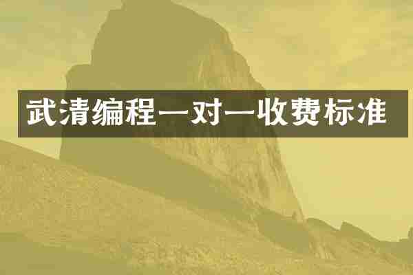 武清编程一对一收费标准