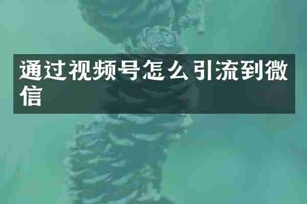 通过视频号怎么引流到微信