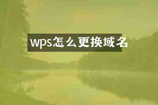 wps怎么更换域名