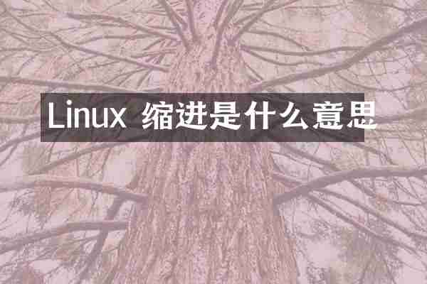 Linux 缩进是什么意思