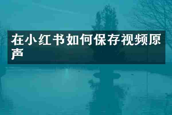 在小红书如何保存视频原声