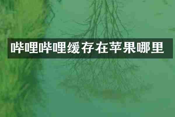 哔哩哔哩缓存在苹果哪里