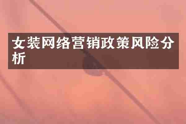 女装网络营销政策风险分析