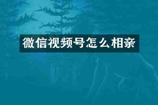 微信视频号怎么相亲