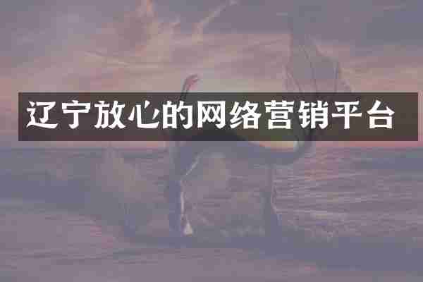 辽宁放心的网络营销平台