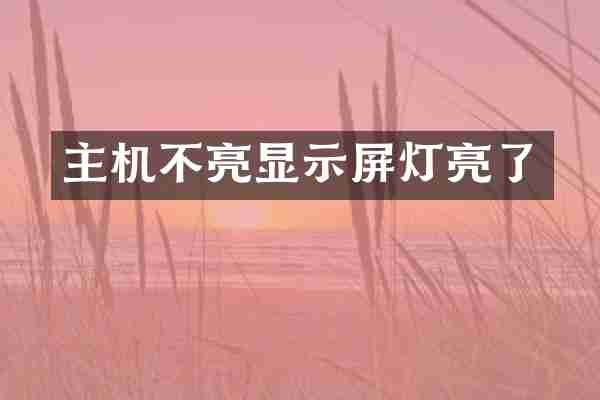 主机不亮显示屏灯亮了