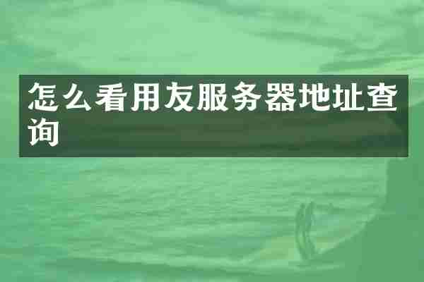 怎么看用友服务器地址查询