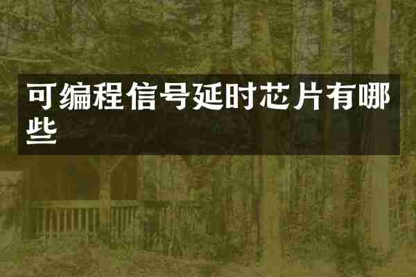 可编程信号延时芯片有哪些