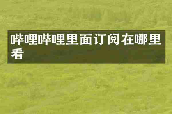 哔哩哔哩里面订阅在哪里看