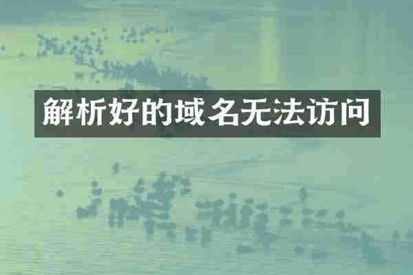 解析好的域名无法访问