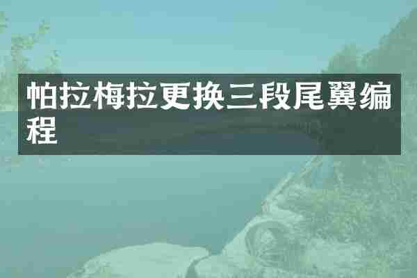 帕拉梅拉更换三段尾翼编程