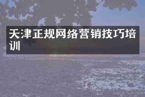 天津正规网络营销技巧培训