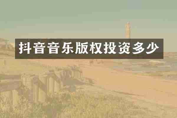 抖音音乐版权投资多少