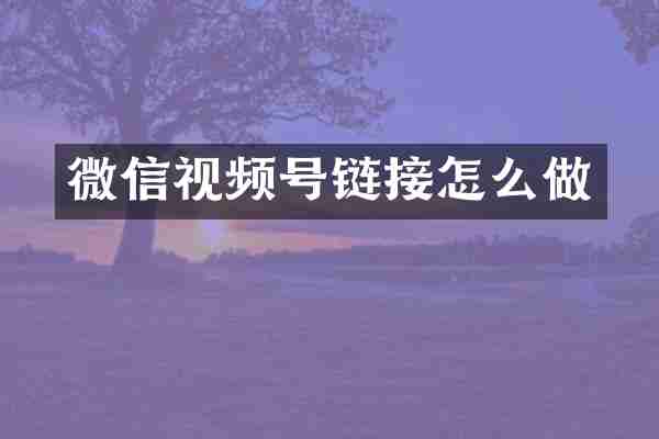 微信视频号链接怎么做