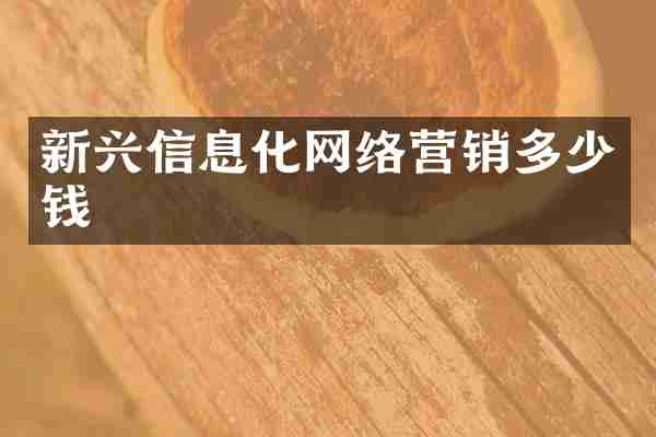 新兴信息化网络营销多少钱
