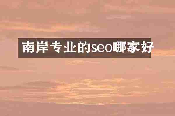 南岸专业的seo哪家好