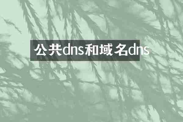 公共dns和域名dns