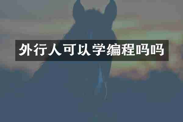 外行人可以学编程吗吗