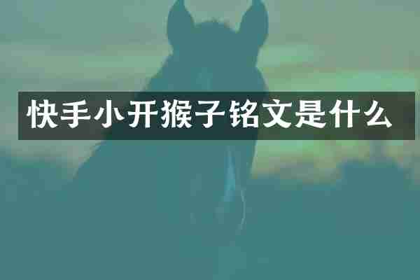 快手小开猴子铭文是什么