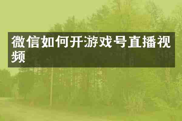 微信如何开游戏号直播视频