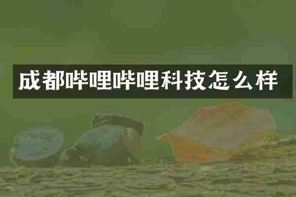 成都哔哩哔哩科技怎么样