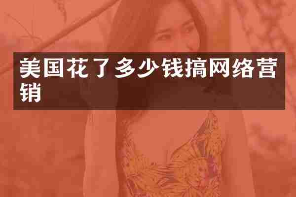美国花了多少钱搞网络营销
