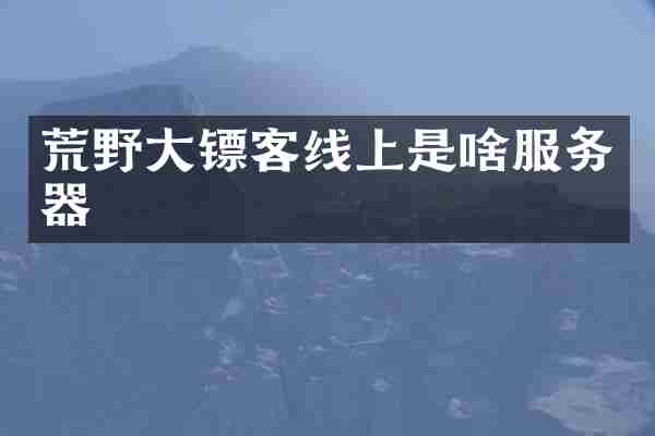 荒野大镖客线上是啥服务器