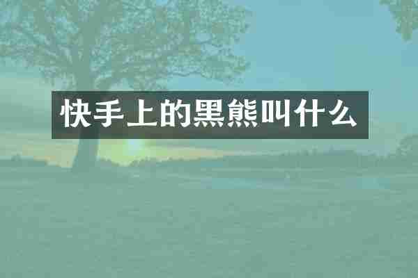 快手上的黑熊叫什么