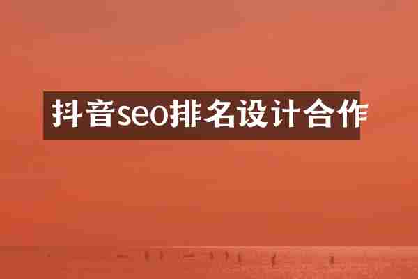 抖音seo排名设计合作