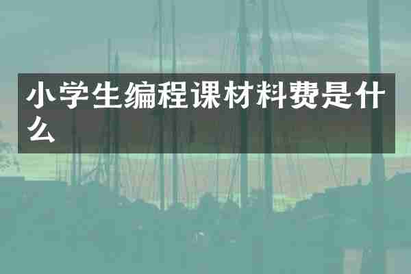 小学生编程课材料费是什么