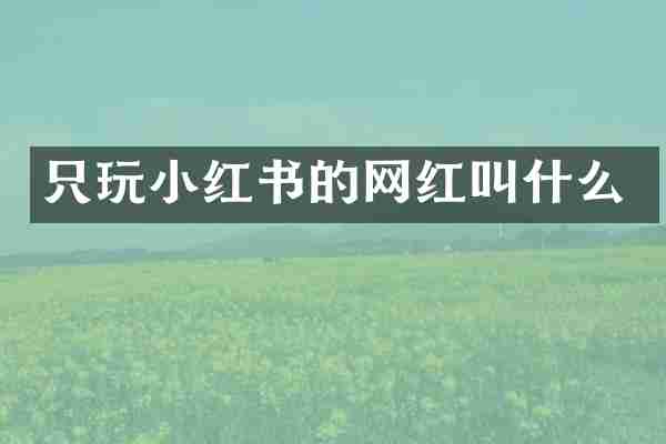 只玩小红书的网红叫什么