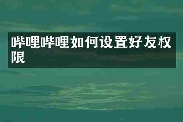 哔哩哔哩如何设置好友权限
