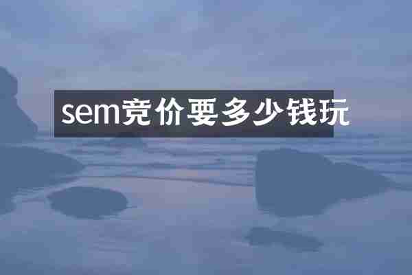 sem竞价要多少钱玩