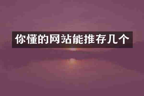 你懂的网站能推存几个