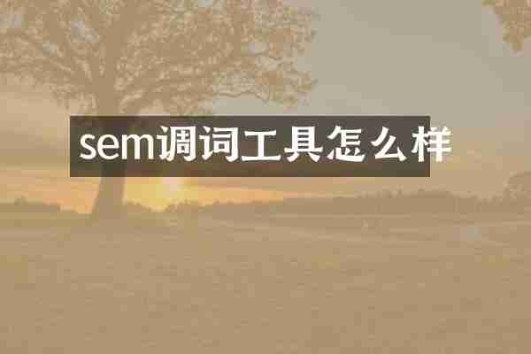 sem调词工具怎么样