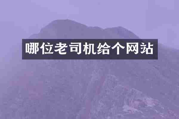 哪位老司机给个网站