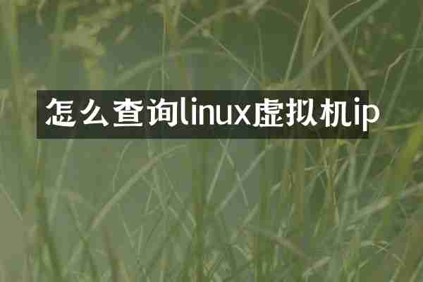 怎么查询linux虚拟机ip