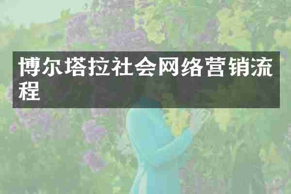 博尔塔拉社会网络营销流程