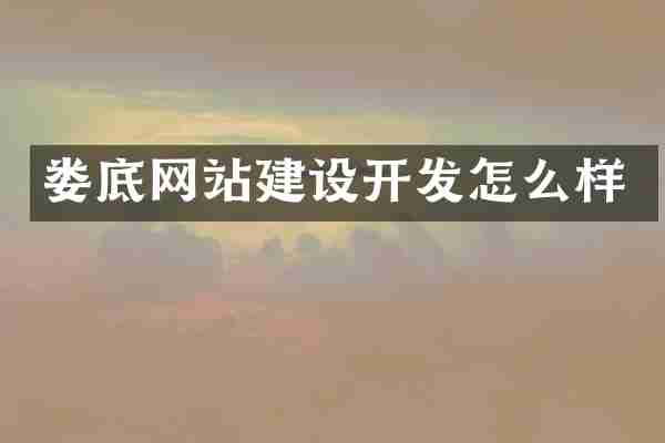 娄底网站建设开发怎么样