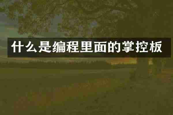 什么是编程里面的掌控板