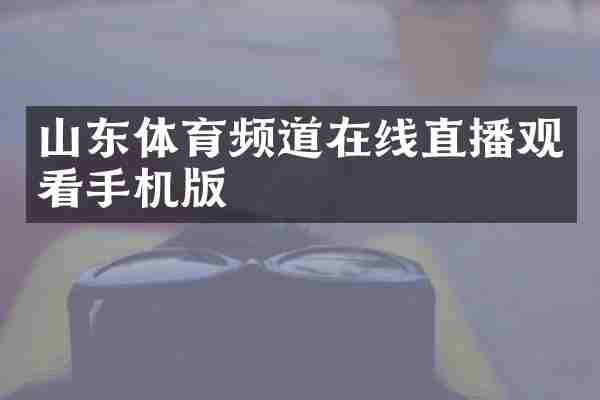 山东体育频道在线直播观看手机版