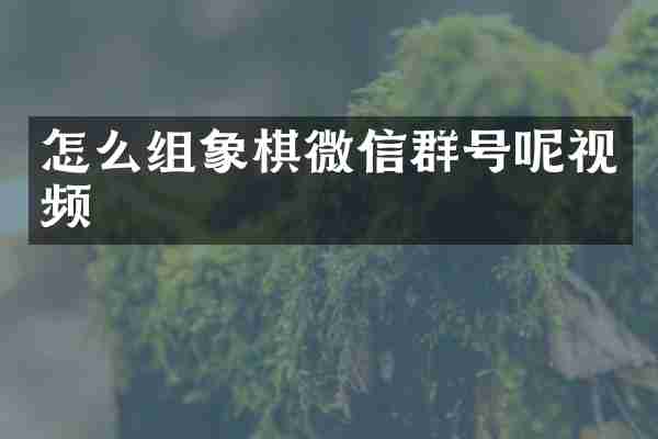 怎么组象棋微信群号呢视频