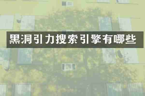黑洞引力搜索引擎有哪些