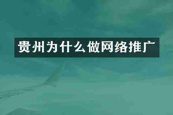 贵州为什么做网络推广